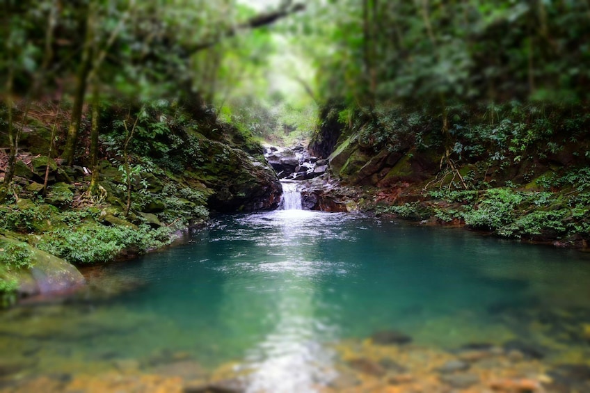 Private Full Day Hike to Bach Ma National Park