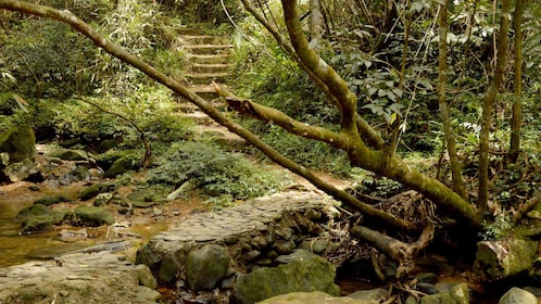 Caminata privada de día completo al Parque Nacional Bach Ma