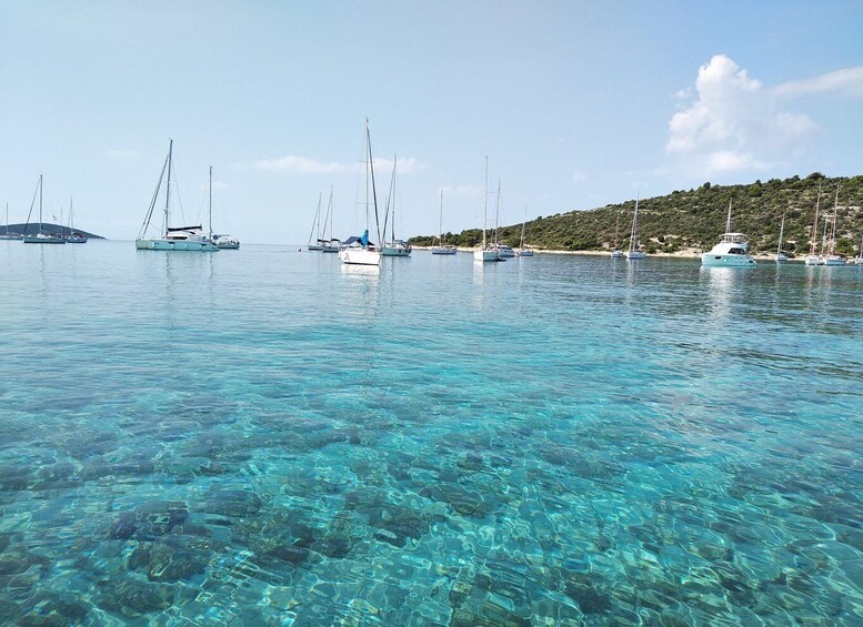 Picture 6 for Activity From Trogir: Half-Day 3-Island Boat Tour with Coffee/Water