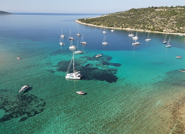 Picture 4 for Activity From Trogir: Half-Day 3-Island Boat Tour with Coffee/Water