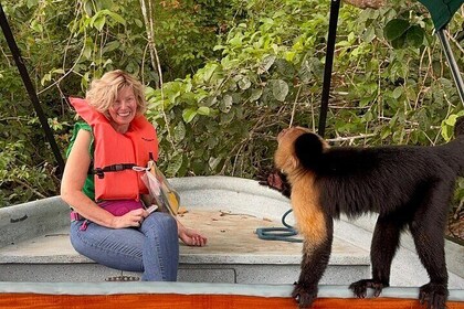 Private Group Eco Boat Canal Cruise & Monkey Habitat Tour