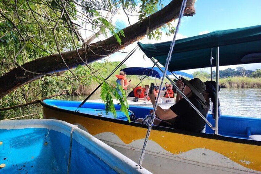 Panama Canal Eco Boat Cruise, Isla Picaron and Old Town