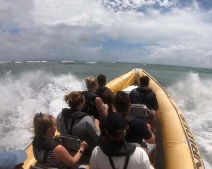 Picture 2 for Activity Noosa: Adventure Tour