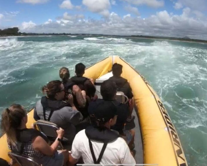 Picture 4 for Activity Noosa: Ocean Adventure Tour