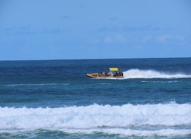 Noosa: Ocean Adventure Tour