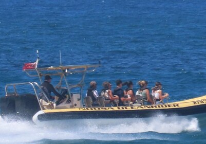 Noosa: Adventure Tour