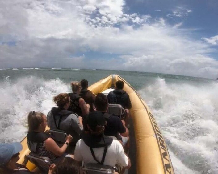 Picture 2 for Activity Noosa: Adventure Tour