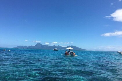 Donuts Boats - Take a Break - Intercontinental Tahiti (11 am-2pm)