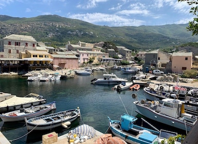 Entre Calvi et Ile Rousse: Cap Corse Day Trip by Boat