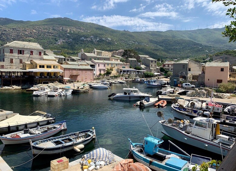 Entre Calvi et Ile Rousse: Cap Corse Day Trip by Boat