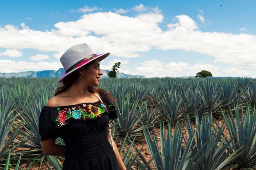 Tequila Full-Day Tour of Amatitan: A Full Day of Discovery