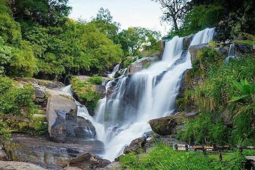 Full Day Private Excursion to Doi Inthanon