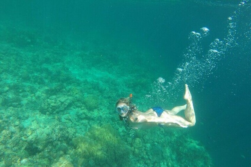 Snorkeling or Leisure Diving from Kota Kinabalu