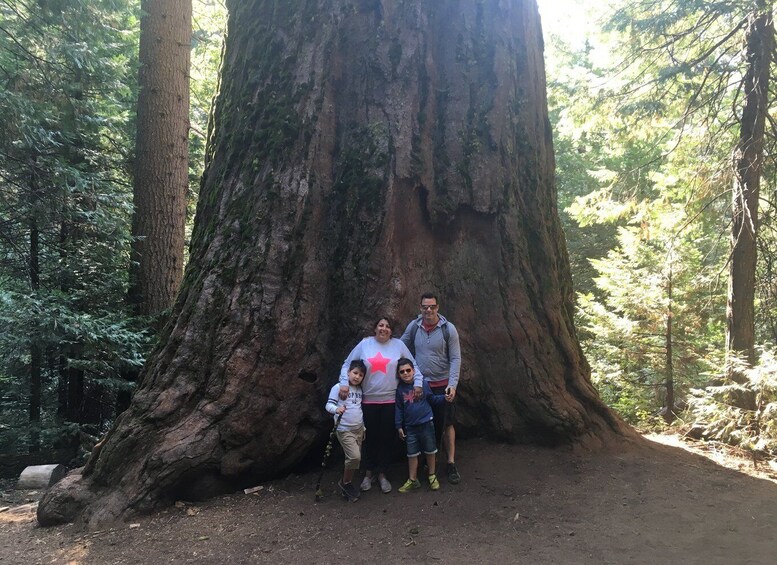 Picture 3 for Activity Yosemite Giant Sequoia Private 4X4 Jeep Tour