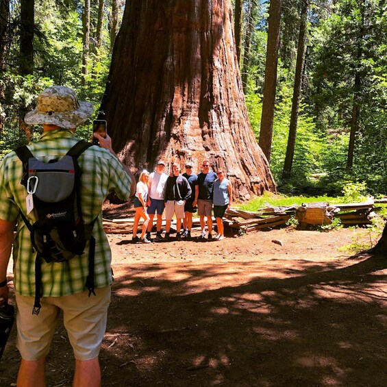 Yosemite Giant Sequoia Private 4X4 Jeep Tour