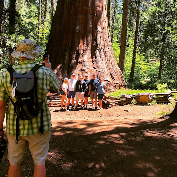 Yosemite Giant Sequoia Private 4X4 Jeep Tour