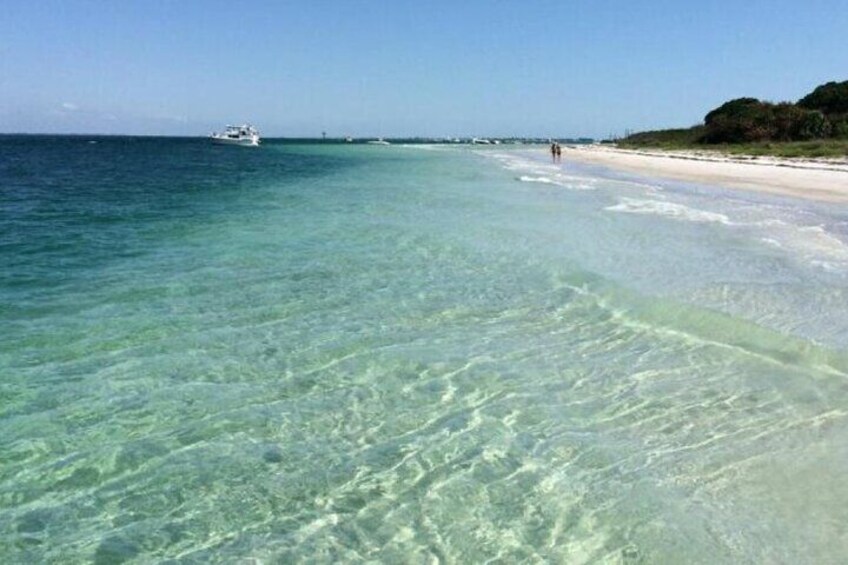 Private 5 Hour Egmont Key Eco Tour in St. Pete