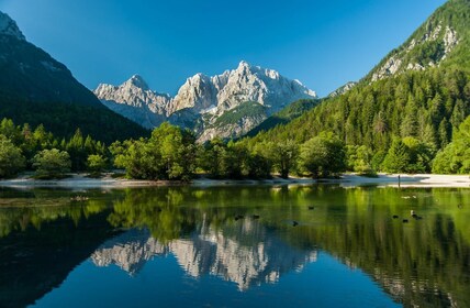 Ljubljana: Kranjska Gora und Triglav NP private Tour