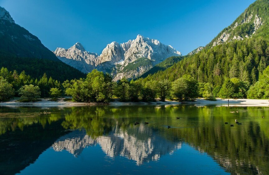 Ljubljana: Kranjska Gora and Triglav NP private tour