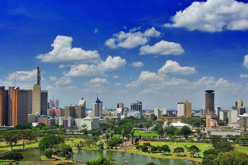 Picture 6 for Activity Nairobi National Park Full or Half-Day Tour with Guide