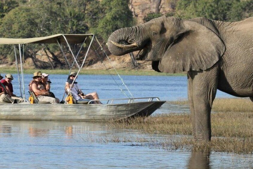 Chobe River Fishing Trip