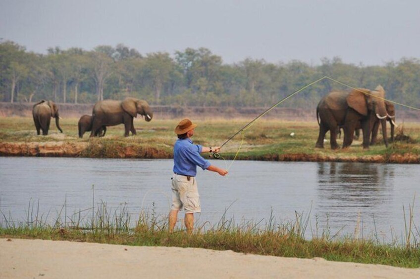 Chobe Fishing Trip