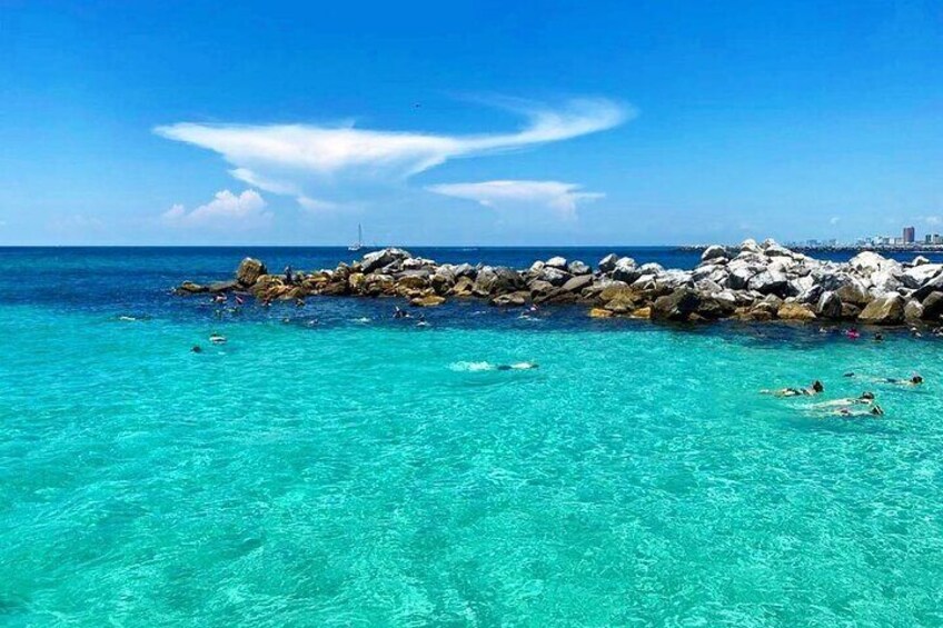 Swim with the Dolphins Boat Tour in Panama City Beach