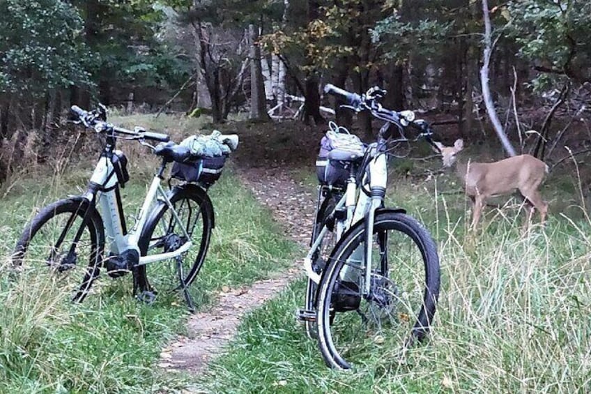 Don't let the wildlife steal your ride.