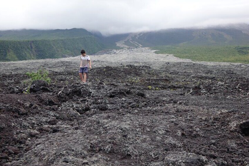 Discovery of Reunion Island The Authentic and Unmissable Wild Coast