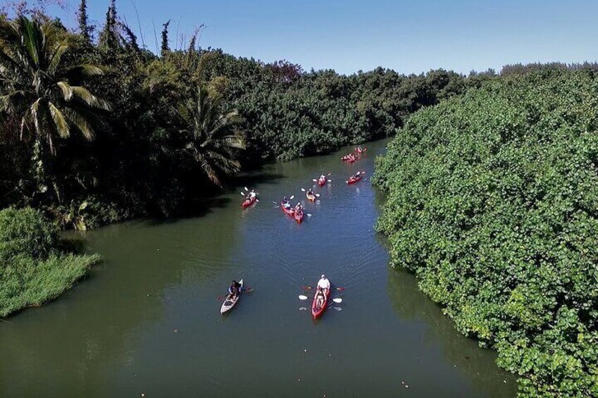 Learn about Kaua'i's rich history