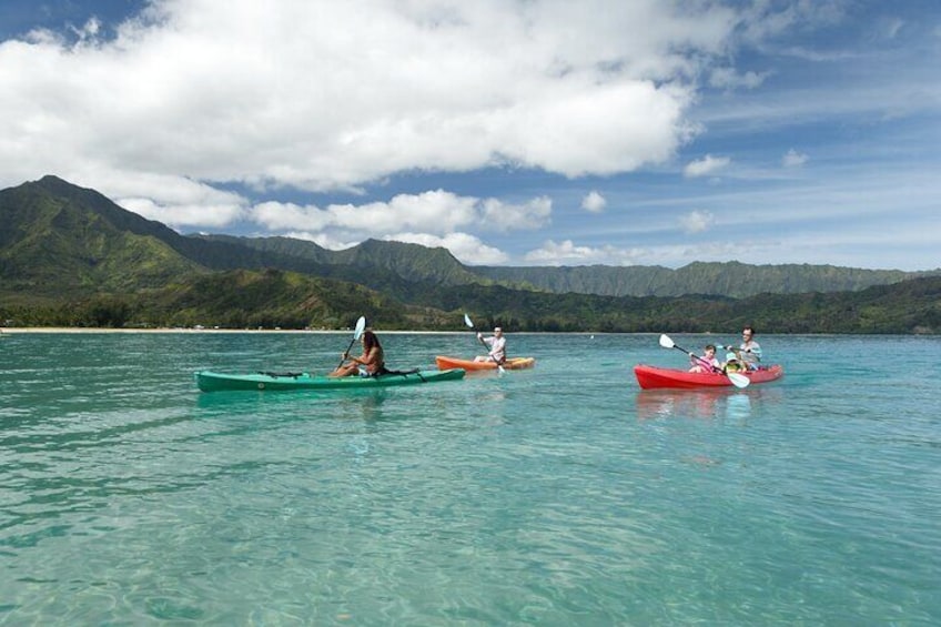 Paddle in beautiful Hanalei Bay & look for Sea turtles