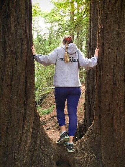 Redwoods of Marin and Mt. Tamalpais Walking Tour with Local Guide