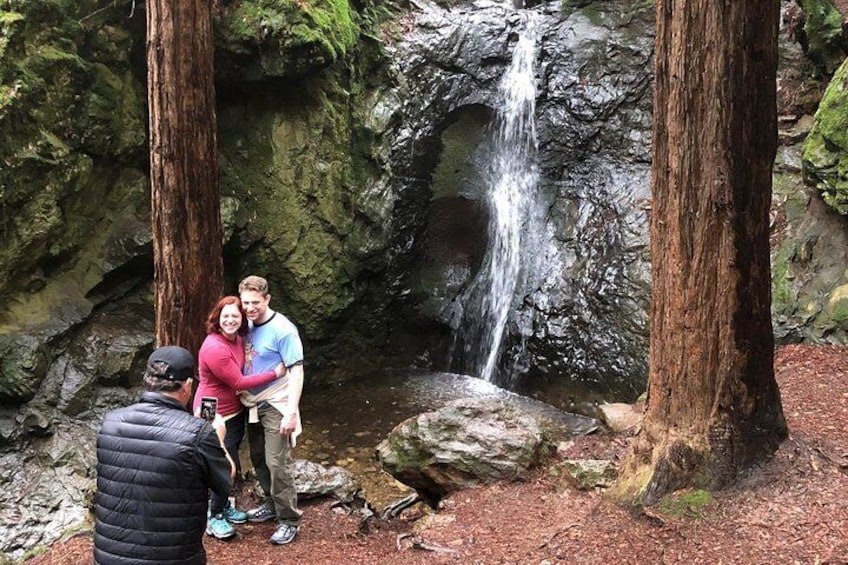 Redwoods of Marin and Mt. Tamalpais Walking Tour with Local Guide