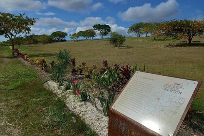 Hike to Barbados Slave Burial Ground