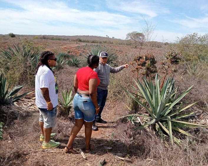 Picture 10 for Activity Mazatlán: Beach & Jungle ATV Tour w/ Lunch & Tequila Tasting