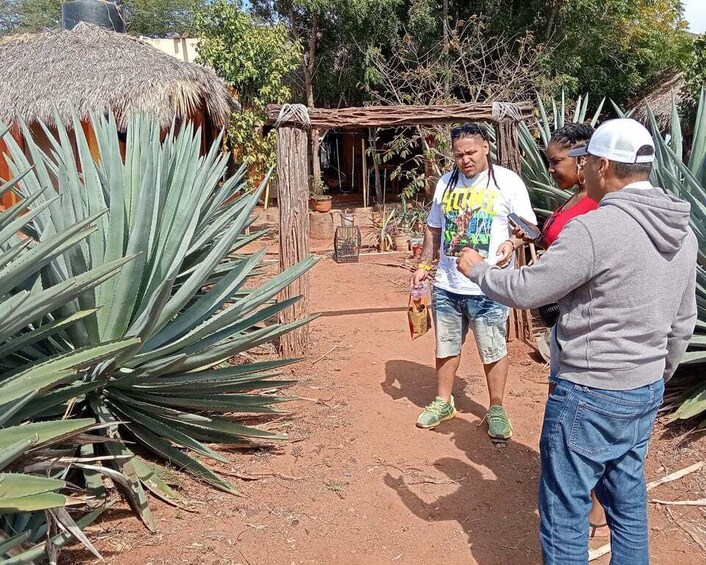 Picture 9 for Activity Mazatlán: Beach & Jungle ATV Tour w/ Lunch & Tequila Tasting