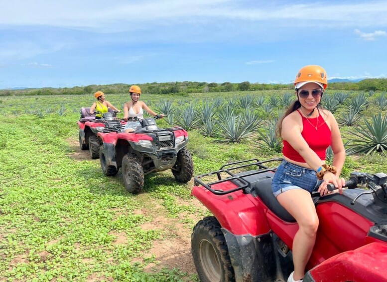 Picture 7 for Activity Mazatlán: Beach & Jungle ATV Tour w/ Lunch & Tequila Tasting