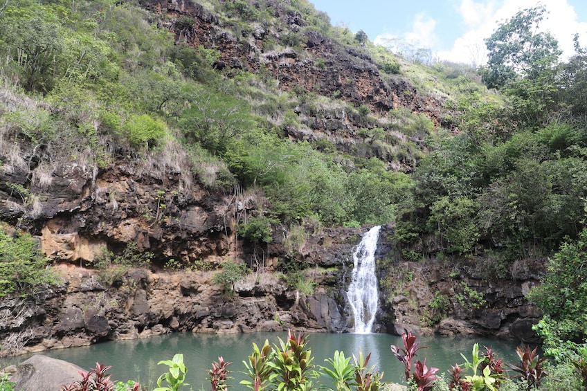 Waimea Waterfall Hike & Swim w/Dole Plantation (Breakfast/Lunch included)