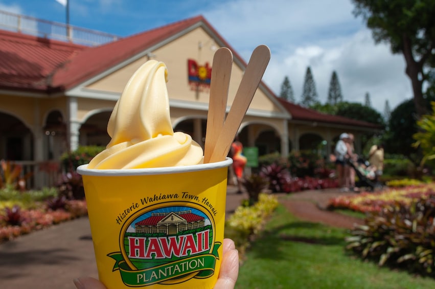 Waimea Waterfall Hike & Swim w/Dole Plantation (Breakfast/Lunch included)