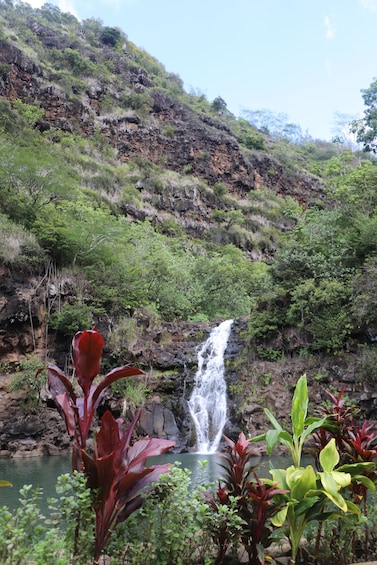 Waimea Waterfall Hike & Swim w/Dole Plantation (Breakfast/Lunch included)