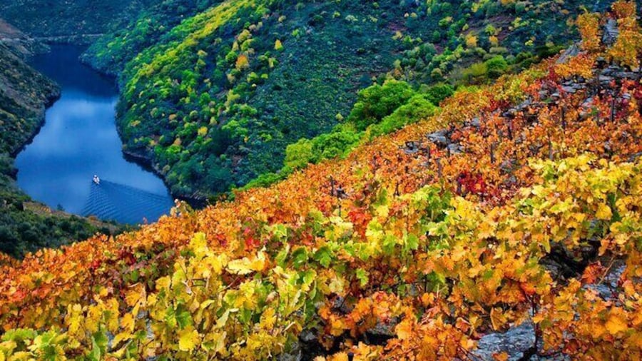 Discovering the Beauty of Ribeira Sacra: A Private Tour