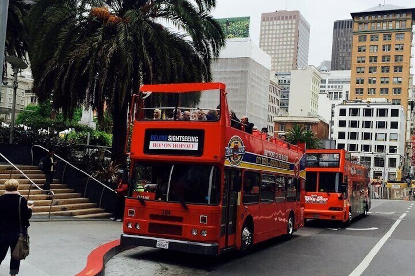 Private Charter Sightseeing Tour in San Francisco City