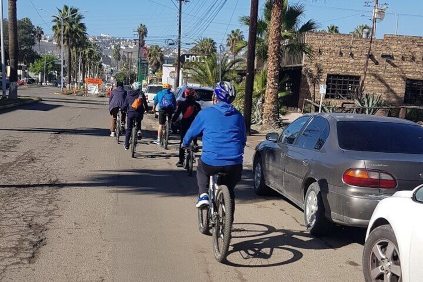 Ensenada Shore Excursion Tacos'n Bike Fun Ride