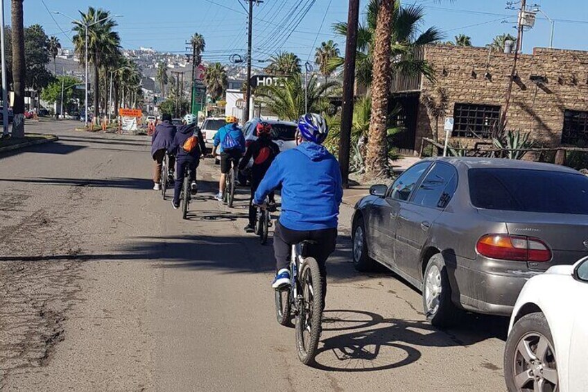 Ensenada Shore Excursion Tacos'n Bike Fun Ride