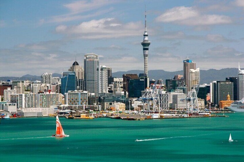 Private Custom Tour with a Local Guide Auckland