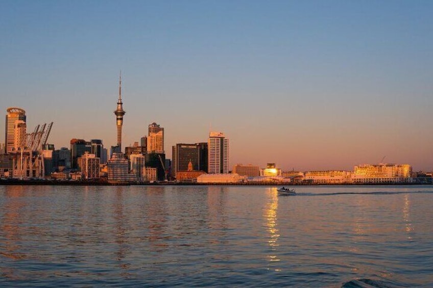 Private Custom Tour with a Local Guide Auckland