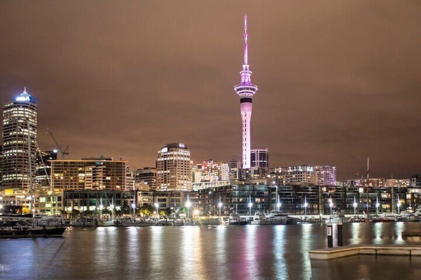 Private Custom Tour with a Local Guide Auckland