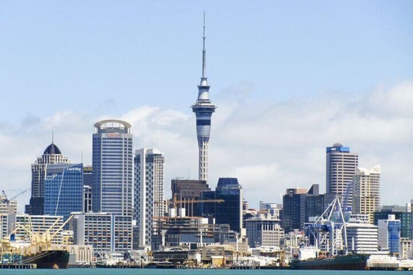 Private Custom Tour with a Local Guide Auckland