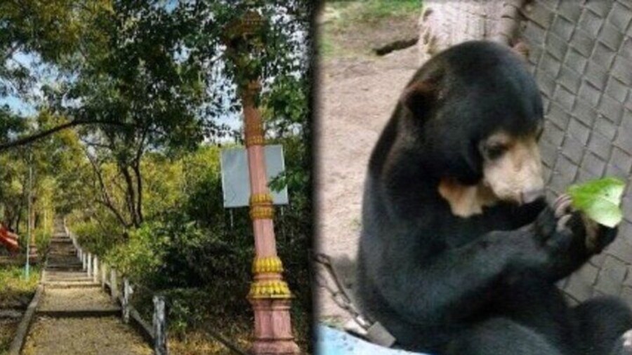 Cambodia Wildlife Sanctuary and Takeo Countryside Tour