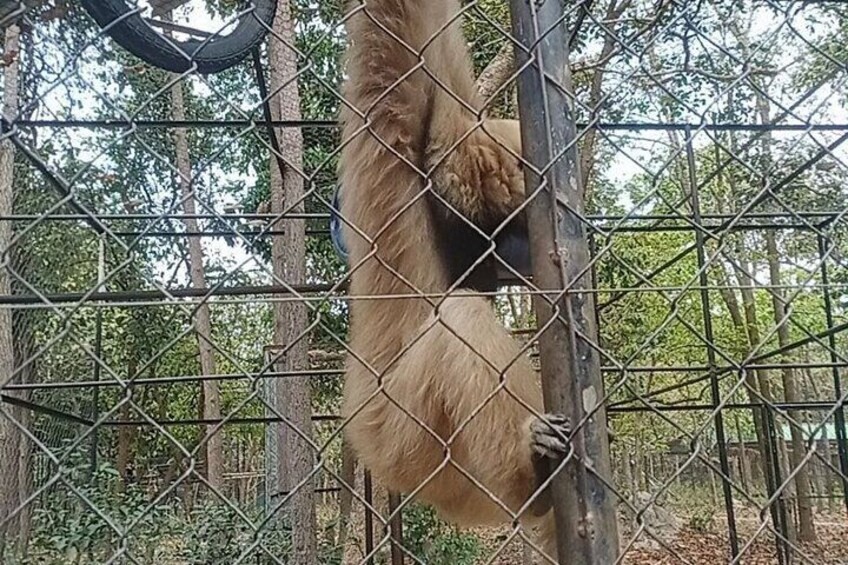 Cambodia Wildlife Sanctuary and Takeo Countryside Tour